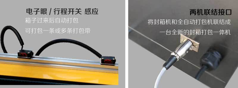 封箱打包一体机 自动折盖胶带封箱与PP打包捆扎的流水线解决方案
